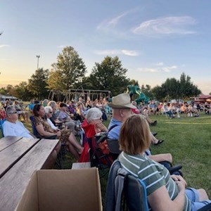 Crowd at Concert