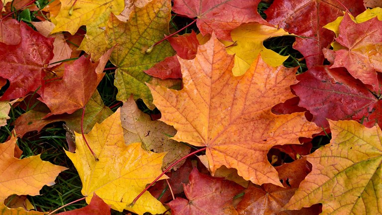 Administrative Office Update